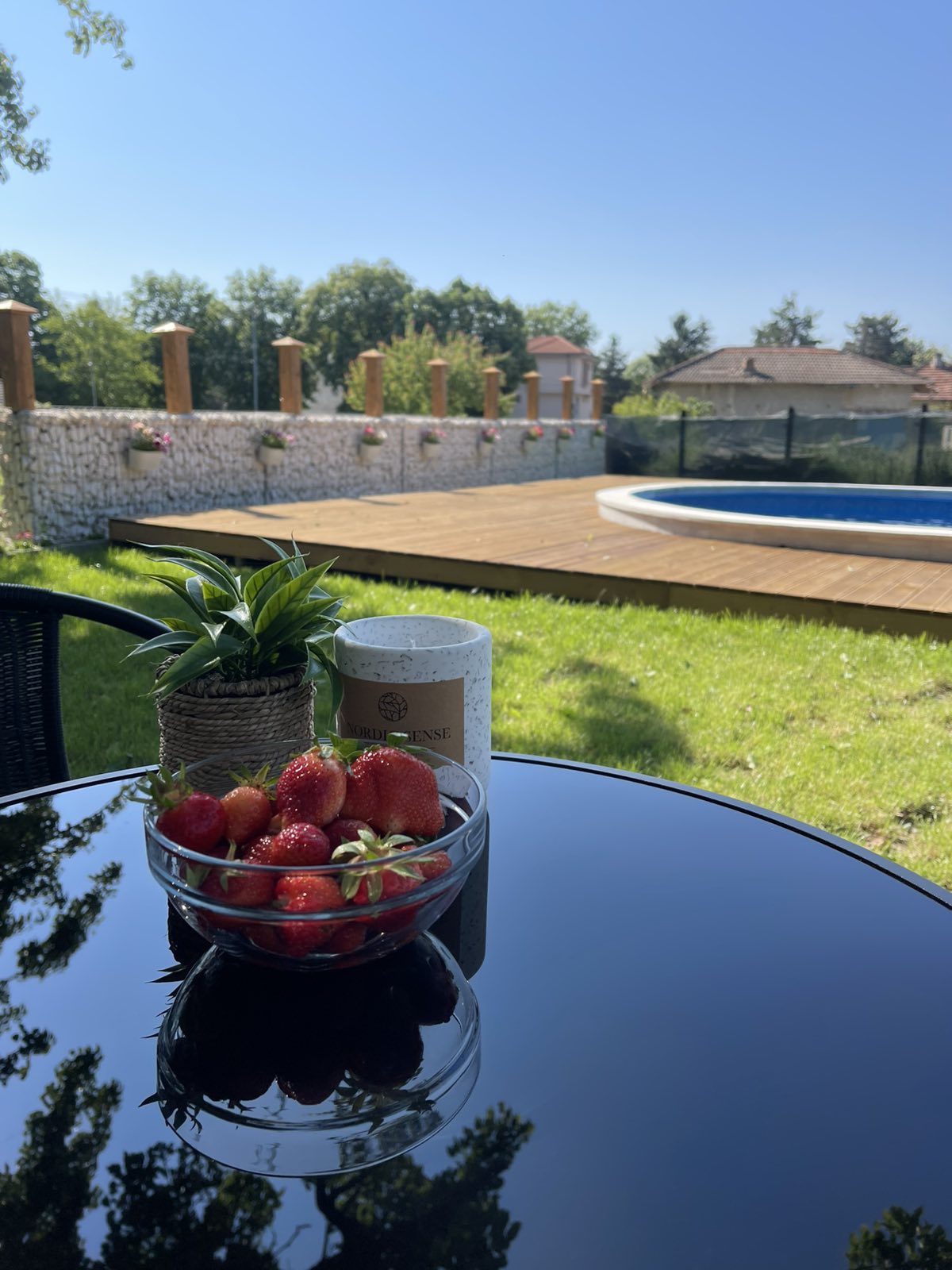 Басейн и градина с плодове